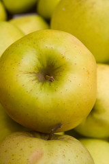apples