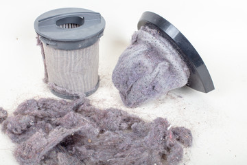 Two vacuum cleaner filters and  dust