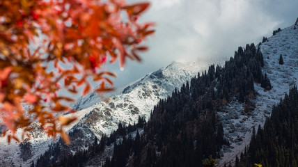foggy ridge
