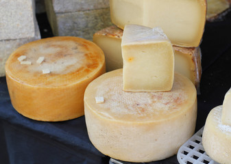 round forms of cheese at the market