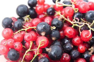 currant