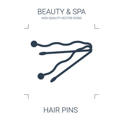 hair pins icon