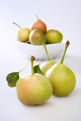 Small pears, in a bowl, on a white background.