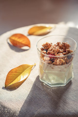 Ideas for healthy autumn breakfast. Greek yoghurt with granola, dried berries in glass and yellow leaves. Gray background with rustic style cloth. Top view copy space lifestyle blogging