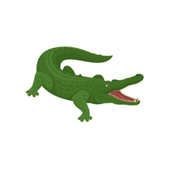 Green crocodile with open mouth, predatory amphibian animal vector Illustration on a white background