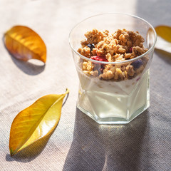 Ideas for healthy autumn breakfast. Greek yoghurt with granola, dried berries in glass and yellow leaves. Gray background with rustic style cloth. Top view copy space lifestyle blogging