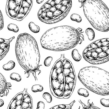 Baobab vector seamless pattern. Superfood drawing. Organic healthy