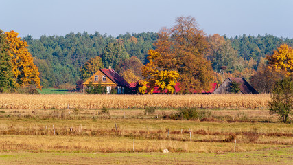 Barwy jesieni na Podlasiu © podlaski49