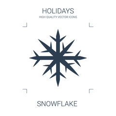 snowflake icon