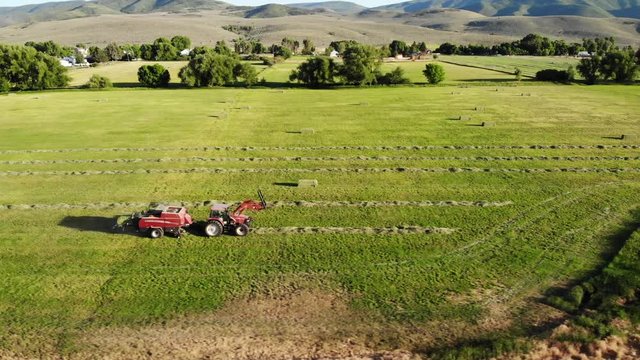 An aerial shot of farmer collecting hay into bales with a tractor