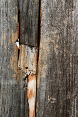 Damaged fence
