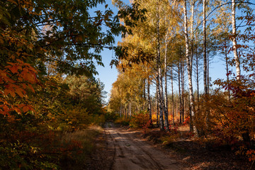 Barwy jesieni na Podlasiu