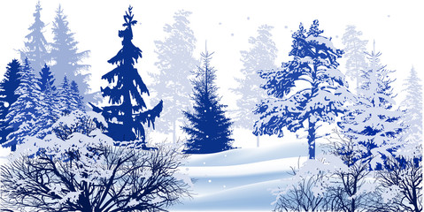trees in snow winter blue illustration