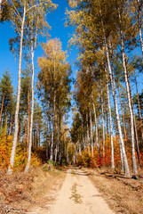 Barwy jesieni na Podlasiu