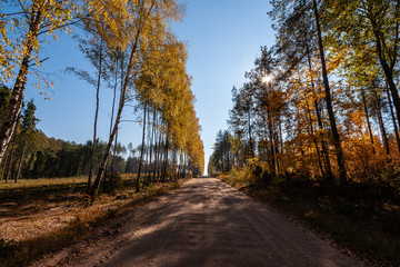 Barwy jesieni na Podlasiu