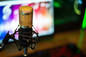 Gold condenser microphon, It's like singing karaoke, Close up.