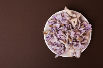 Dried pink-purple flowers on a white plate. Autumn plant composition. View from above. Place for text on the left. Dark brown embossed background. Pastel paper.