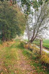 Fototapeta premium Meandering footpath through a nature reserve along a ditch on a day with early morning fog in the Dutch autumn season