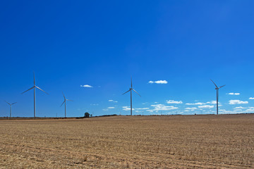 Wind Turbine Farm in Dry Field