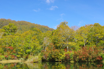 秋の雨飾高原（鎌池）