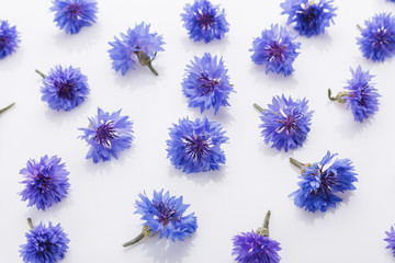 essential oil of cornflower on a white background