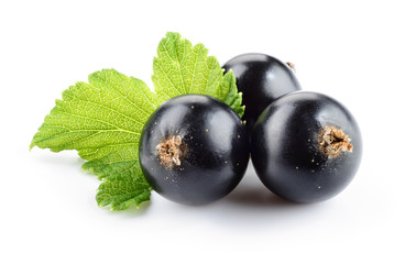 Currant black isolated. Black currant with leaf on white background.