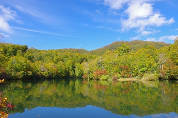 秋の雨飾高原（鎌池）