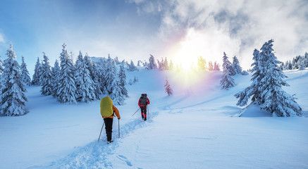 Winterwandern. Touristen wandern in den schneebedeckten Bergen.