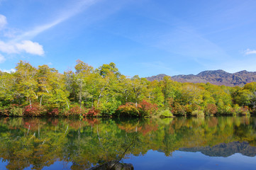 秋の雨飾高原（鎌池）