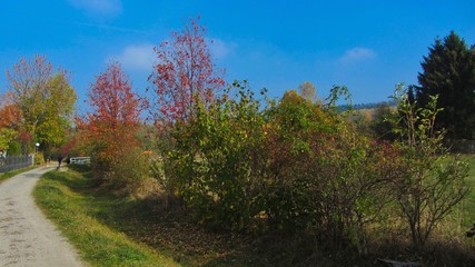 annaberg-buchholz im herbst