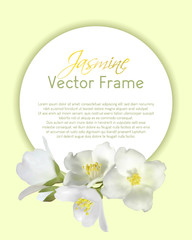 Jasmine flower round vector frame illustration, mock orange plant branch. Realistic bush twig with buds, white petals, yellow pollen on stamens. Isolated inflorescence circle border cart template.