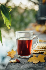 A mug of tea and waffles in the garden with autumn leaves near the water