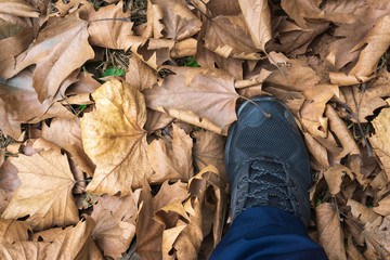 Walking in dried leaves