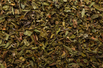 dried tarragon and essential oil on a white background