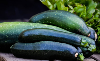 Homegrown courgette - Organic Zucchini