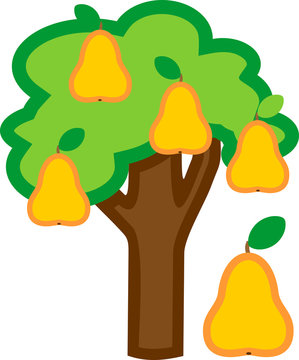 Cartoon pear tree with ripe yellow pears and green crown isolated on white background