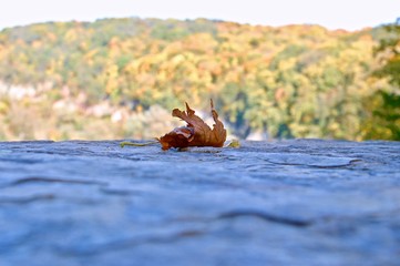 Warm autumn in Kamenetz-Podolsk, Ukraine