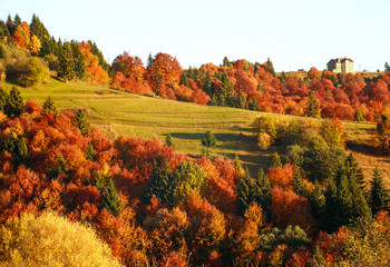Obraz premium Autumn mountains trees and fields colorful landscape beauty in nature