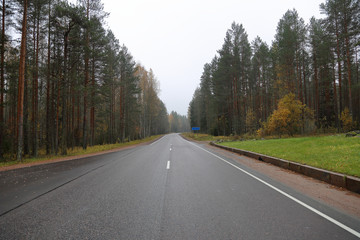 Beautiful Karelian forest landscape in early autumn in Russia
