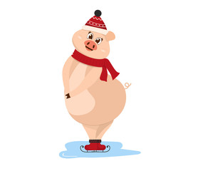 Shy pig in a hat and scarf standing on ice. Cute pig symbol of 2019. Winter activities sport