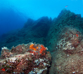 Fototapeta na wymiar Underwater scenery. Mediterranean sea.