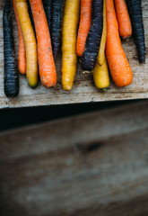 Freshly picked home grown multicolored carrtos on old wooden background
