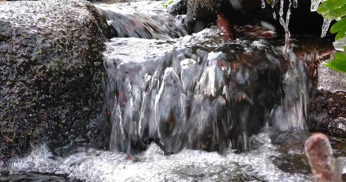 A beautiful collection of forest streams - with Audio.