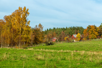 Svensk landsbygd i höstfärger © Björn Kristersson