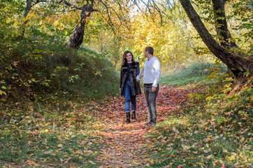 Obraz premium Young couple in love walking in the autumn forest among the yellow leaves
