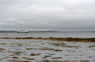 The sea shore with seaweeds at low tide and the far white ship on the cloudy summer day.