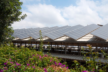 Green energy, solar panels on roof