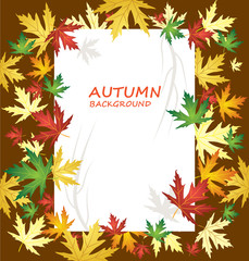 Blank paper on autumn background with different kind of leaves - Vector Illustration 