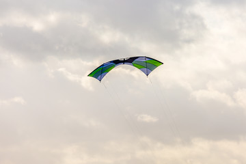 Wing