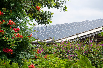  Green energy, solar panels on roof